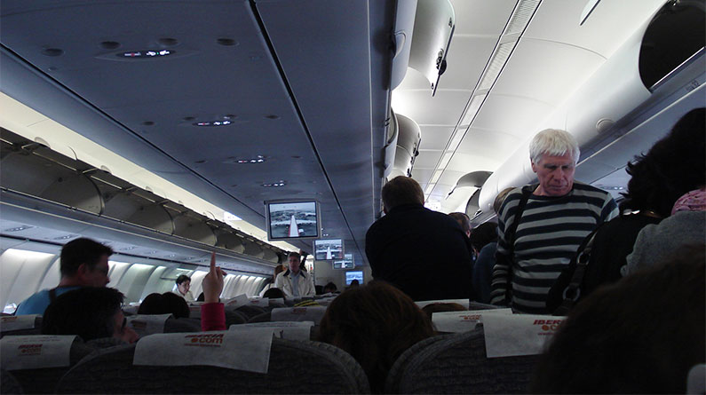 Compañeros de vuelo